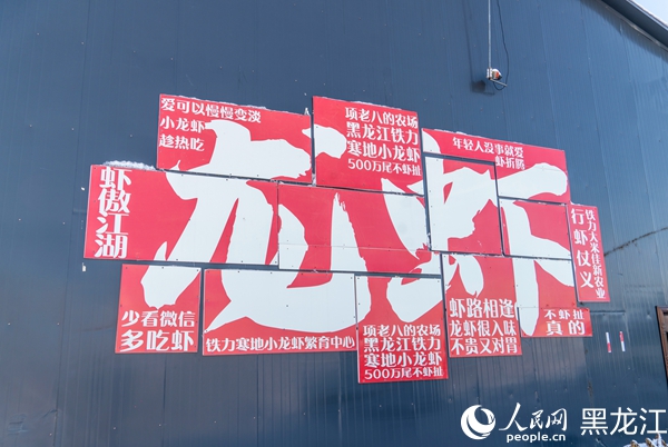 铁力“虾稻共养”育出富民产业寒地小龙虾错峰上市效益显著(图1)