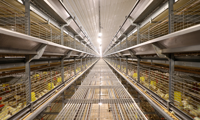 贵州桐梓：特色产业遍地开花乡村振兴蓬勃发展(图4)