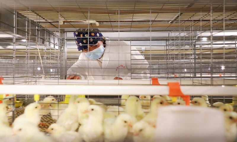 贵州桐梓：特色产业遍地开花乡村振兴蓬勃发展(图3)